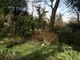 Thumbnail Land for sale in Burley Woodhead, Ilkley, West Yorkshire