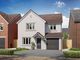 Thumbnail Detached house for sale in "The Roseberry" at Magenta Way, Stoke Bardolph, Burton Joyce, Nottingham