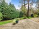 Thumbnail Detached house for sale in The Conifers, Crowthorne, Berkshire