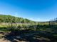 Thumbnail Farmhouse for sale in União Das Freguesias De Azeitão (São Lourenço E São Simão), 2925, Portugal