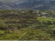 Thumbnail Land for sale in Lochskipport, Isle Of South Uist