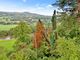 Thumbnail Link-detached house for sale in Llanwysg House, Llanwysg, Crickhowell