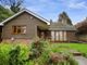 Thumbnail Detached bungalow for sale in Birchwood Road, Swanley