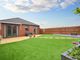 Thumbnail Detached bungalow for sale in Birch Field, Evesham, Worcestershire
