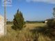 Thumbnail Land for sale in A-Dos-Ruivos, Carvalhal, Bombarral