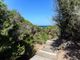 Thumbnail Villa for sale in Cap De Barbaria, Formentera, Illes Balears, Spain