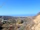 Thumbnail Land for sale in Armou, Paphos, Cyprus