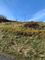 Thumbnail Land for sale in Roag, Dunvegan, Isle Of Skye