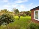 Thumbnail Detached bungalow for sale in Ropes Walk, Blofield, Norwich