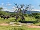Thumbnail Farm for sale in 1 Marakele, Thabazimbi, Limpopo Province, South Africa