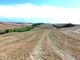 Thumbnail Land for sale in Castelnuovo Berardenga, Castelnuovo Berardenga, Toscana