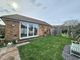 Thumbnail Detached bungalow for sale in Downs Road, Eastbourne