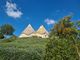 Thumbnail Chalet for sale in C.Da Santoro, Ostuni, Puglia
