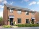 Thumbnail Semi-detached house for sale in "The Gosford - Plot 61" at Tunstall Bank, Sunderland