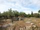 Thumbnail Land for sale in Antipaxos (Island), Antipaxos (Island), Greece