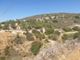 Thumbnail Land for sale in Kato Drys, Larnaca, Cyprus