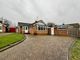 Thumbnail Bungalow for sale in Gosford Way, Polegate, East Sussex