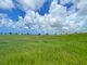 Thumbnail Land for sale in Cabbage Tree Green J- 23, Apes Hill, St. James, Barbados