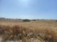 Thumbnail Land for sale in 8 Donums Of Land In Bafra, Iskele, Cyprus