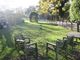 Thumbnail Detached bungalow to rent in Whitebread Lane, Beckley, Rye