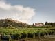 Thumbnail Farm for sale in Montepulciano, Tuscany, Italy