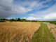 Thumbnail Land for sale in North Green Road, Pulham Market, Diss