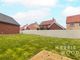 Thumbnail Detached house for sale in Seaborn Drive, Witham, Essex