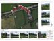 Thumbnail Land for sale in Downpatrick Road, Clough, Downpatrick