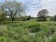 Thumbnail Land for sale in Cashmoor, Blandford Forum