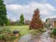 Thumbnail Bungalow for sale in Oak Tree Lane, Sambourne, Redditch, Worcestershire