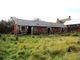 Thumbnail Property for sale in East Nappin Farm, Jurby West