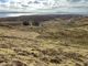 Thumbnail Land for sale in 10 Drinan, Elgol, Elgol, Isle Of Skye