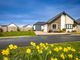 Thumbnail Detached bungalow for sale in Bishops Court, St Davids