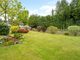 Thumbnail Bungalow for sale in The Street, Lodsworth, Petworth, West Sussex