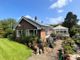 Thumbnail Detached bungalow for sale in Bilsington, Ashford