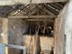 Thumbnail Barn conversion for sale in Rice Lane, Flaxton, York