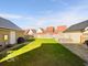 Thumbnail Detached house for sale in William Green Way, Blofield, Norwich