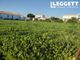 Thumbnail Land for sale in Saint-Denis-D'oléron, Charente-Maritime, Nouvelle-Aquitaine