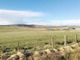 Thumbnail Land for sale in Plot, Olgrinmore, Scotscalder, Halkirk.