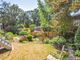 Thumbnail Detached bungalow for sale in Stroud Close, Wimborne