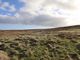 Thumbnail Land for sale in Ground At 10 Eagleton, Point, Isle Of Lewis