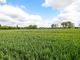 Thumbnail Land for sale in Gravelly Ways, Laddingford, Maidstone