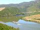 Thumbnail Farm for sale in Property 100Ha, Near River Douro, Vineyard, Winery, Portugal