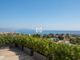 Thumbnail Detached house for sale in Juan-Les-Pins, 06160, France