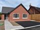 Thumbnail Detached bungalow for sale in Pound Lane, Clifton-On-Teme, Worcester