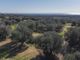 Thumbnail Land for sale in Manduria, Puglia, 74024, Italy