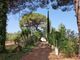 Thumbnail Property for sale in Oria, Puglia, 72024, Italy