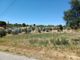 Thumbnail Land for sale in Carril, Serra E Junceira, Tomar