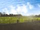 Thumbnail Property for sale in Back Road, Gorefield, Wisbech, Cambridgeshire