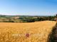 Thumbnail Detached house for sale in San Gimignano, 53037, Italy